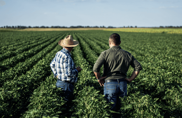 crédito agro