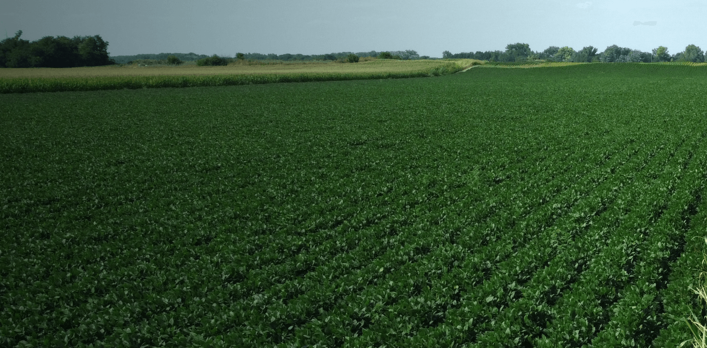 Safra agronegócio